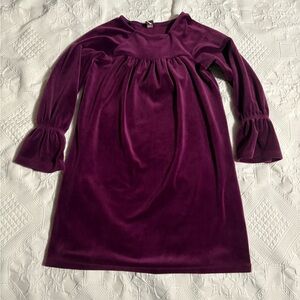 Tea Velvet Rich Purple Dress